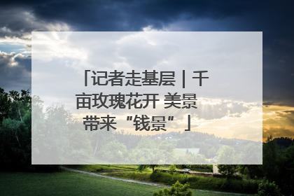 记者走基层｜千亩玫瑰花开 美景带来“钱景”